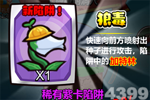 NG体育