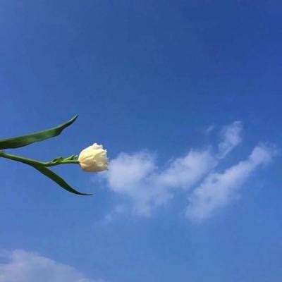 天天中彩票下载手机版截图