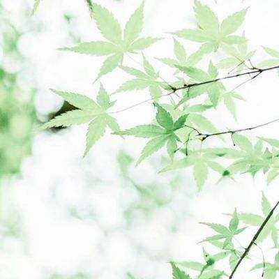 天天中彩票下载手机版