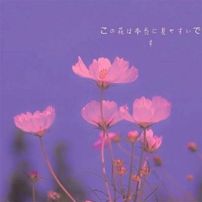 BOB半岛·体育官方平台